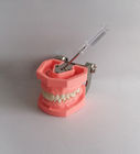 多彩なブラシをかけるプラスチック歯科歯は取り外し可能模倣する